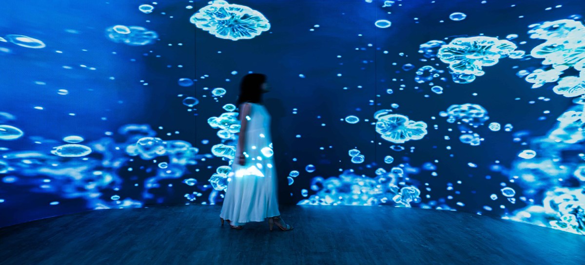 Hello Bloom 念生花境